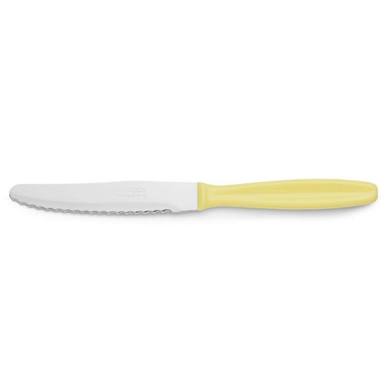 370100 ARCOS 10.5cm SS DESSERT KNIFE with PP HANDLE 20.5cm - 370100